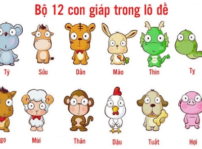 ĐOÁN SỐ MẠNG THEO CÂN LƯỢNG