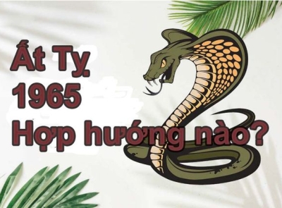 HƯỚNG NHÀ TỐT TUỔI NAM NỮ ẤT TỴ 1965