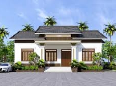 Cây xanh trong bố trí nhà cửa giúp gia tăng tài lộc 